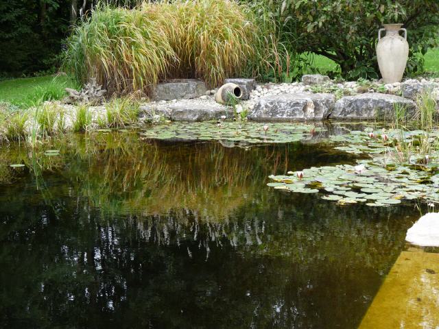 Schwimmteich Familie Donner